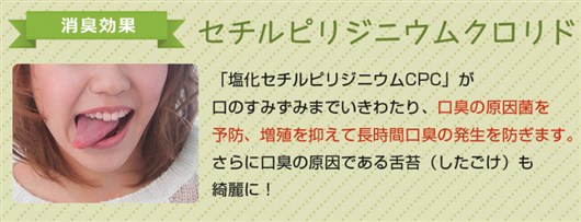 �V�V���e�b�N